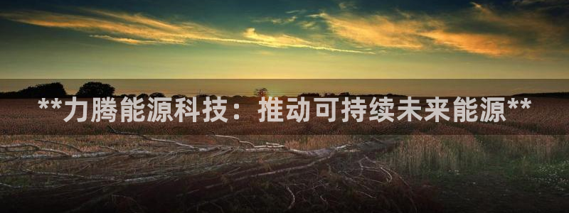 sunbet官网手机版