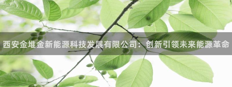申博官方网站手机版下载