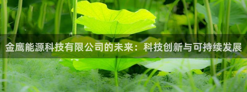 sunbet线上真人手机版