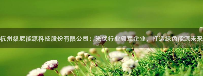 申博视讯