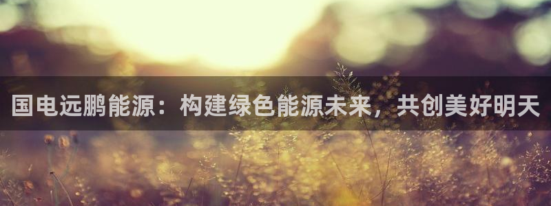 sunbet最新消息