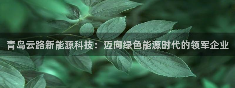 sunbet手机网页版本