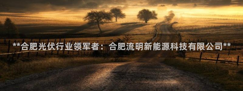 sunbet最新登陆