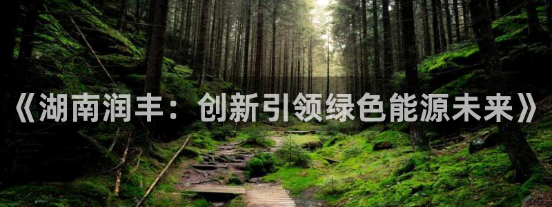 sunbet手机版官网下载